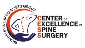 CESS Logo